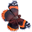 Papillon